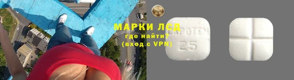 стаф Богородицк